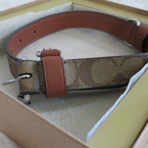 Coach Large Pet Collar (Khaki/Saddle)
